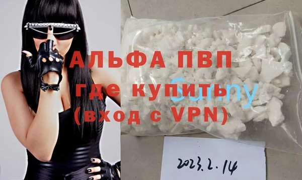 стафф Козловка