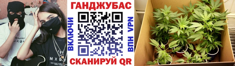 Конопля индика  продажа наркотиков  Кировград 